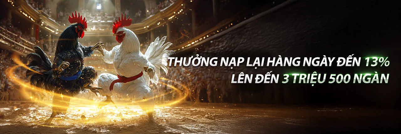 Đá gà trực tuyến jss77 code với không khí sôi động